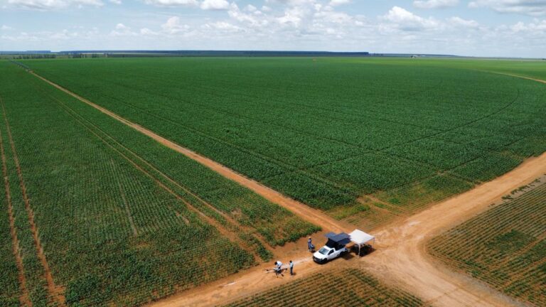 Serviços agrícolas 1
