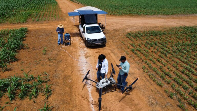 Serviços agrícolas 3